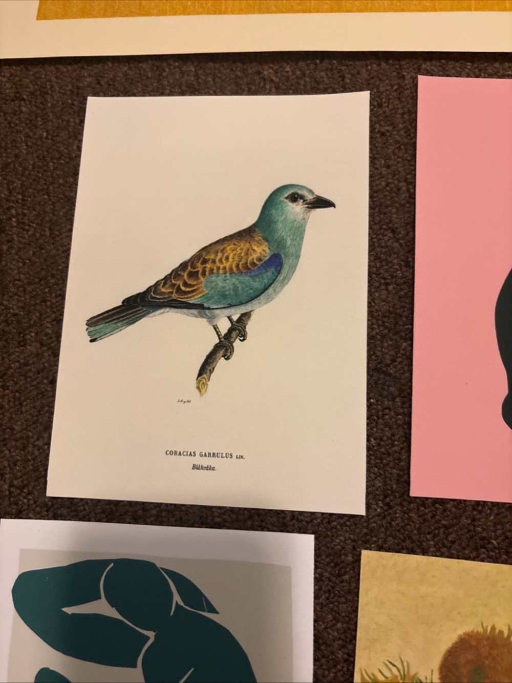 Wall decor - Picture 10 of 16